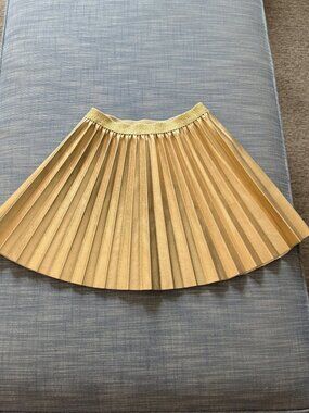 J Crew Girls' pleated metallic skirt